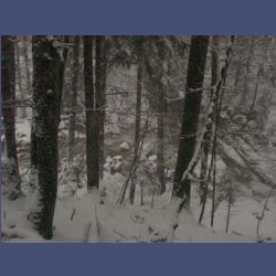 2013-02-02_Rappinschlucht_Lainlalm (022).jpg